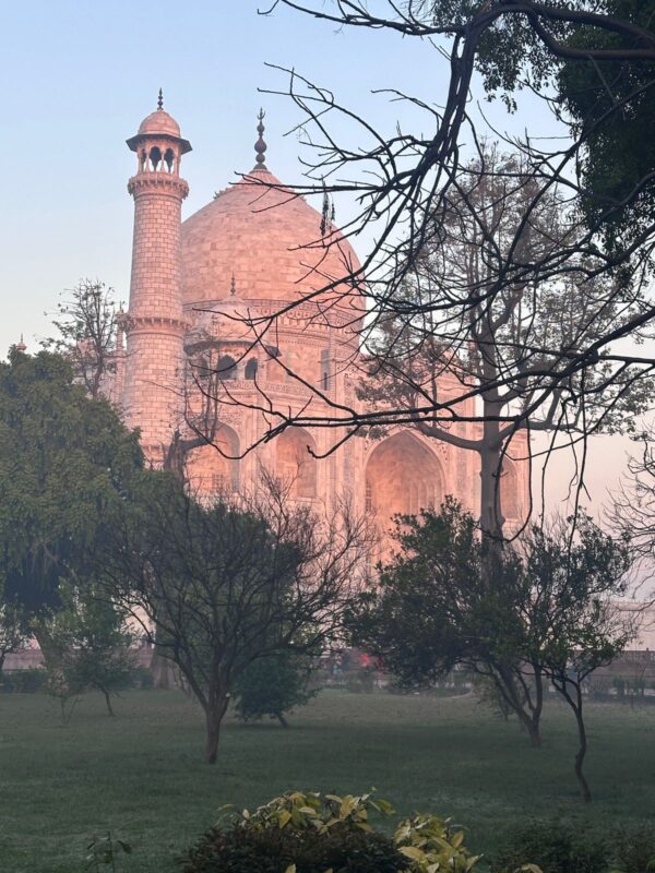Same Day Agra Taj Mahal Tour - Image 4