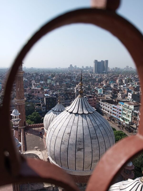 Same Day Delhi Tour - Image 4